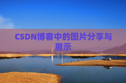 CSDN博客中的图片分享与展示